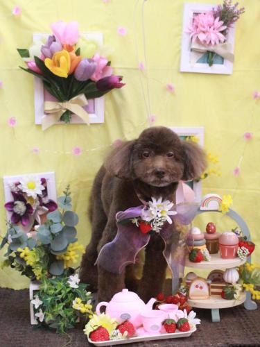 20230312杏ちゃん